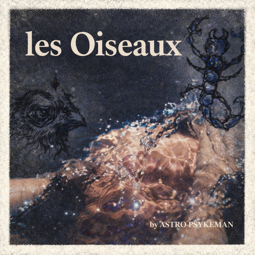 Astro Psykeman - Les Oiseaux [Marketplace]