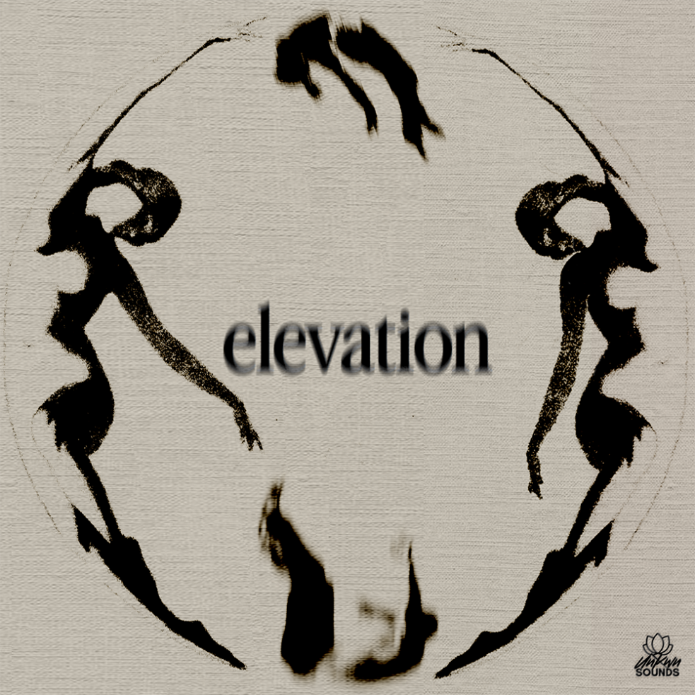 Punas Vol. 6 (ELEVATION) [UNKWN Sounds]