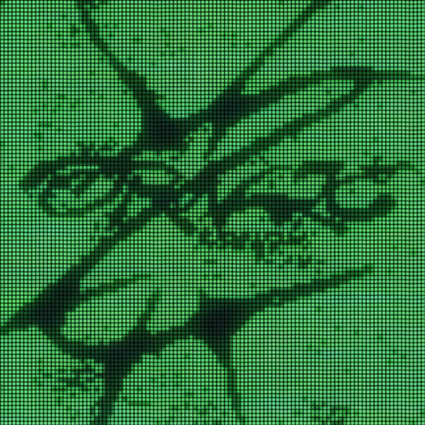 Monarch Sounds - Oracle [Marketplace]