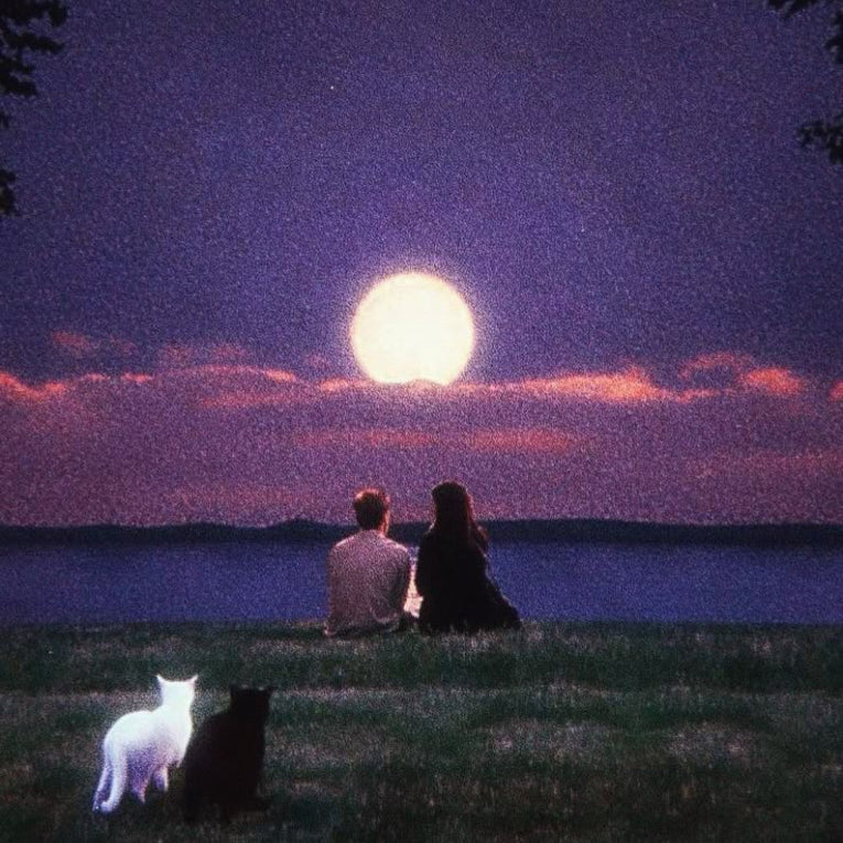 Rascal prod. - Pretend Lovers [Marketplace]