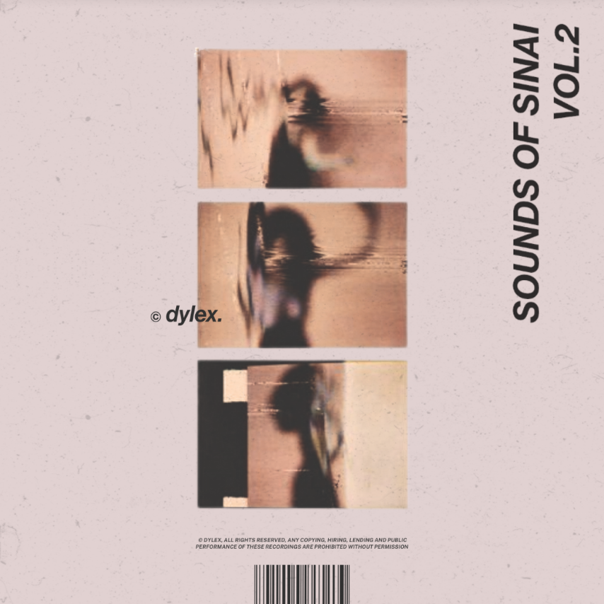 Dylex - SINAI Vol. 2 [Marketplace]