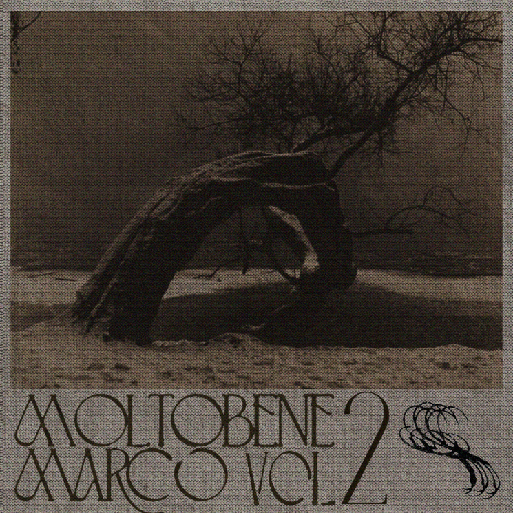 Moltobene Marco - Sample Library Vol. 2 [Marketplace]
