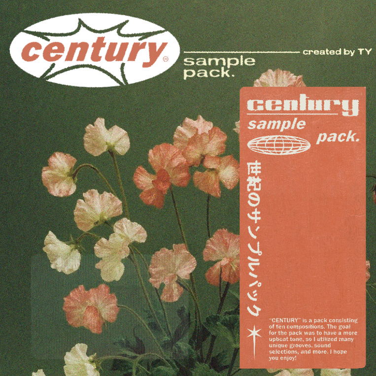 TY - CENTURY [Marketplace]