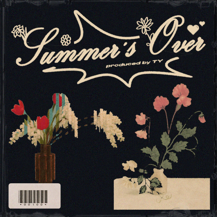 TY - SUMMERS OVER [Marketplace]