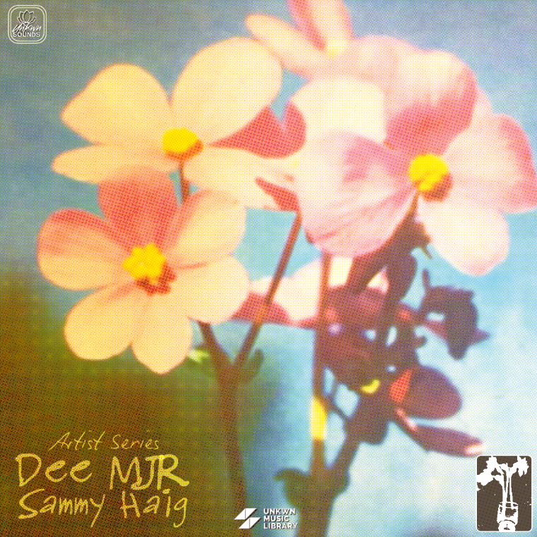 DEE MJR & Sammy Haig Vol. 1 [UNKWN Sounds]