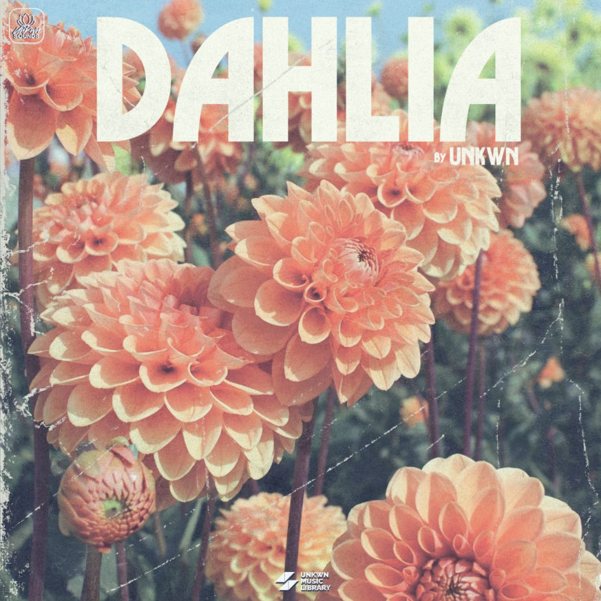 Dahlia by UNKWN [UNKWN Sounds]