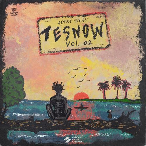 Tesnow Vol. 2 [UNKWN Sounds]