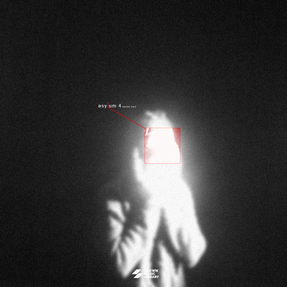lostfvce Vol. 10 (asylum 4) [UNKWN Sounds]