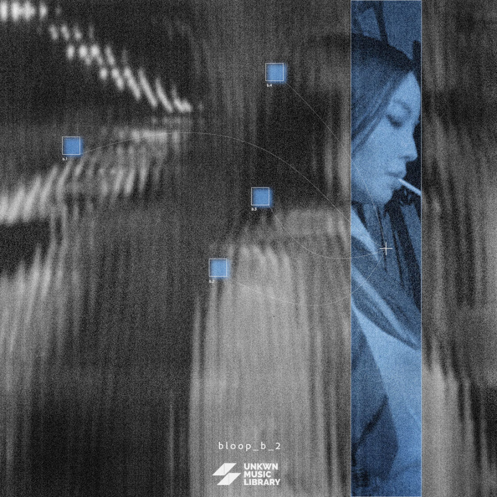 lostfvce Vol. 8 (bloop buffer 2) [UNKWN Sounds]