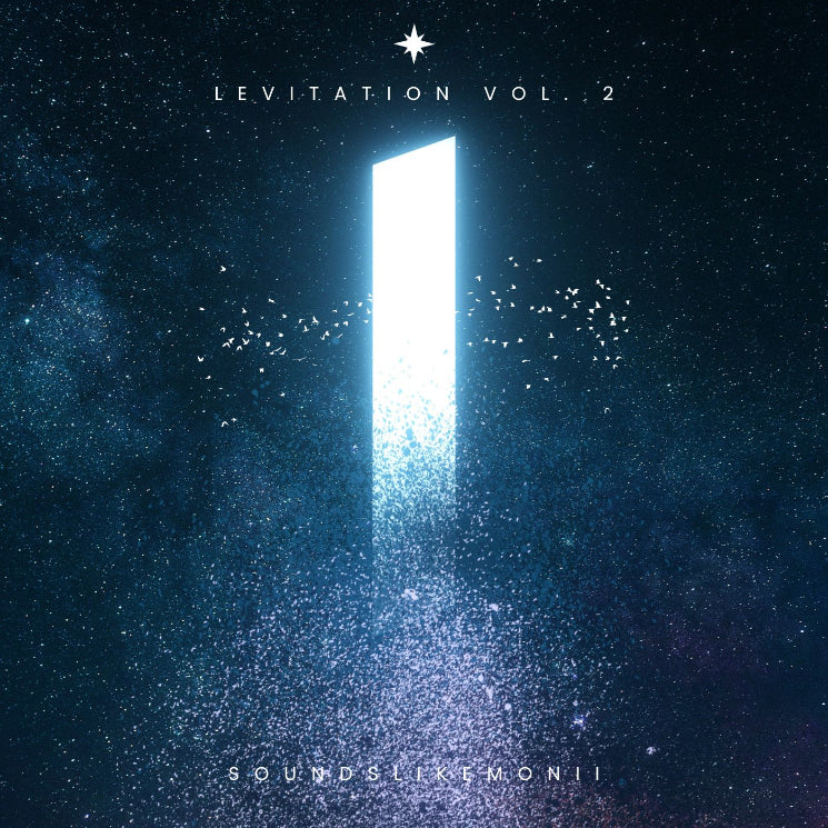 monii - Levitation Vol. 2 [Marketplace]