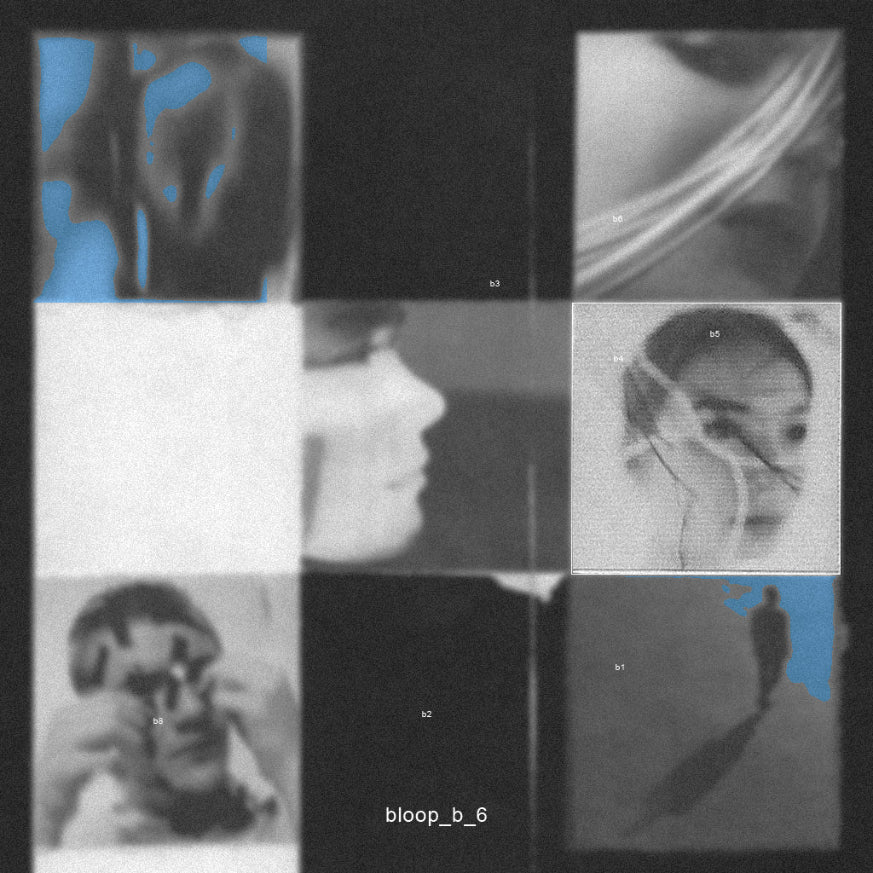 lostfvce - bloop_b_6 [Marketplace]