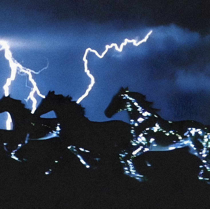 New Releases New Releases